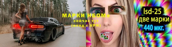 бошки Бронницы