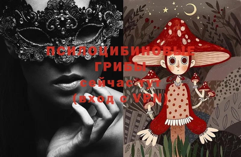 где найти наркотики  Тобольск  Псилоцибиновые грибы Magic Shrooms 